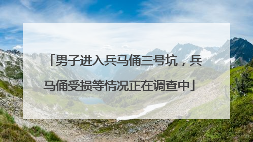 男子进入兵马俑三号坑，兵马俑受损等情况正在调查中