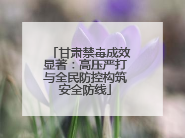 甘肃禁毒成效显著：高压严打与全民防控构筑安全防线