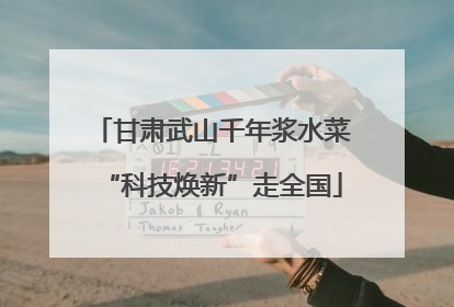 甘肃武山千年浆水菜“科技焕新”走全国