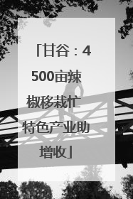 甘谷：4500亩辣椒移栽忙 特色产业助增收