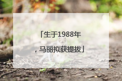 生于1988年，马丽拟获提拔