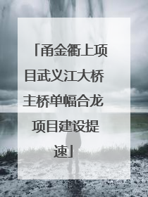 甬金衢上项目武义江大桥主桥单幅合龙 项目建设提速