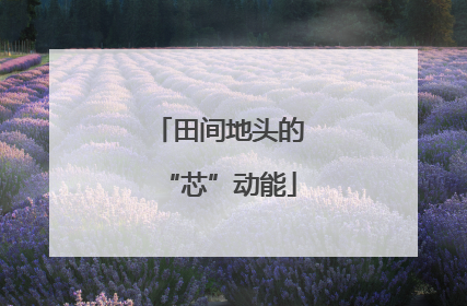 田间地头的“芯”动能