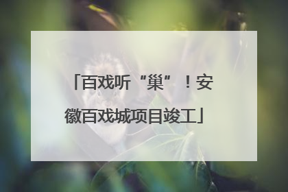 百戏听“巢”！安徽百戏城项目竣工