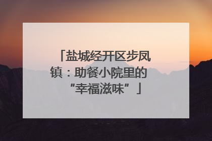 盐城经开区步凤镇：助餐小院里的“幸福滋味”