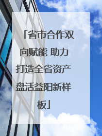 省市合作双向赋能 助力打造全省资产盘活益阳新样板