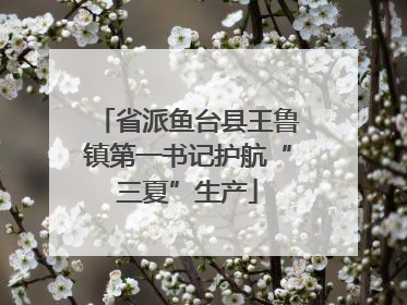 省派鱼台县王鲁镇第一书记护航“三夏”生产