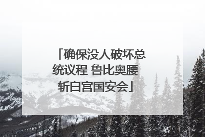 确保没人破坏总统议程 鲁比奥腰斩白宫国安会