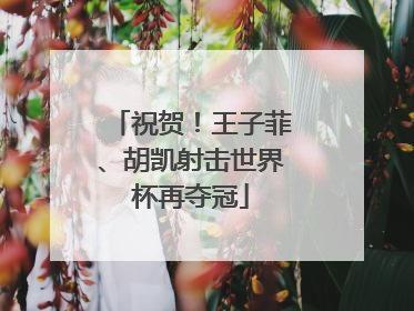 祝贺！王子菲、胡凯射击世界杯再夺冠