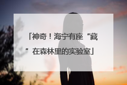 神奇！海宁有座“藏”在森林里的实验室