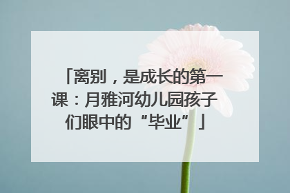 离别，是成长的第一课：月雅河幼儿园孩子们眼中的“毕业”
