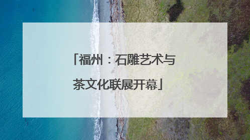 福州：石雕艺术与茶文化联展开幕
