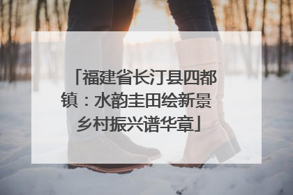 福建省长汀县四都镇：水韵圭田绘新景 乡村振兴谱华章