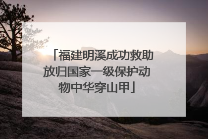 福建明溪成功救助放归国家一级保护动物中华穿山甲