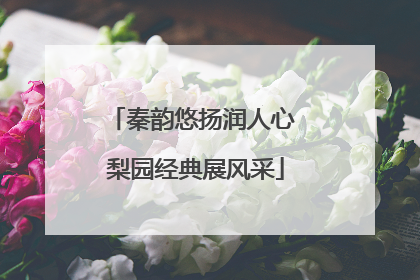 秦韵悠扬润人心 梨园经典展风采