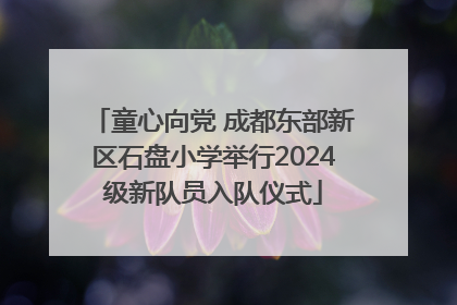 童心向党 成都东部新区石盘小学举行2024级新队员入队仪式