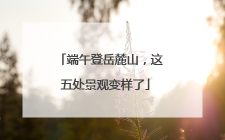 端午登岳麓山，这五处景观变样了