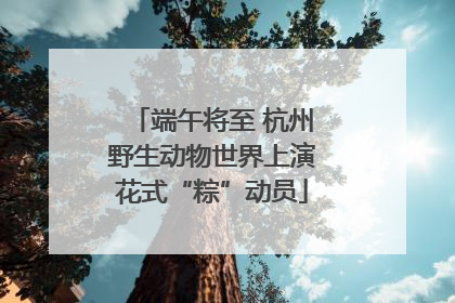 端午将至 杭州野生动物世界上演花式“粽”动员