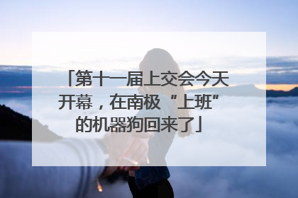 第十一届上交会今天开幕，在南极“上班”的机器狗回来了