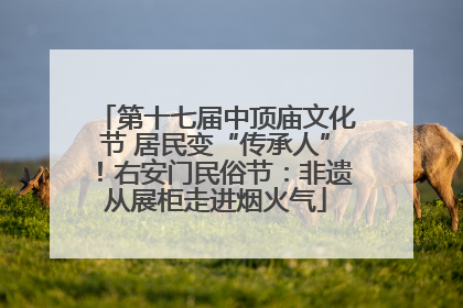 第十七届中顶庙文化节 居民变“传承人”！右安门民俗节：非遗从展柜走进烟火气