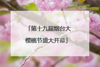 第十九届烟台大樱桃节盛大开幕