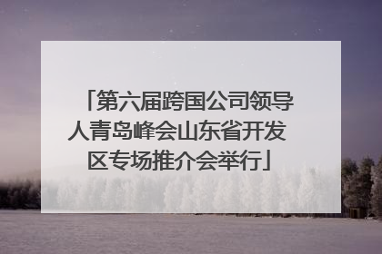 第六届跨国公司领导人青岛峰会山东省开发区专场推介会举行