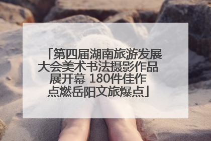 第四届湖南旅游发展大会美术书法摄影作品展开幕 180件佳作点燃岳阳文旅爆点