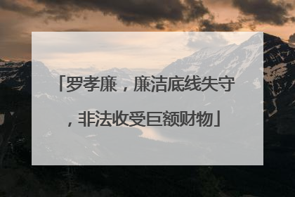 罗孝廉，廉洁底线失守，非法收受巨额财物
