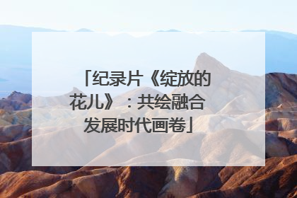 纪录片《绽放的花儿》：共绘融合发展时代画卷