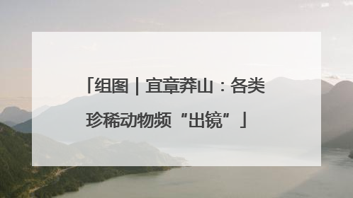 组图｜宜章莽山：各类珍稀动物频“出镜”