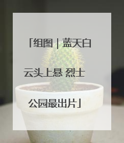 组图｜蓝天白云头上悬 烈士公园最出片