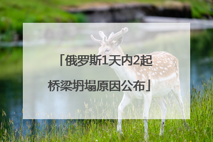 俄罗斯1天内2起桥梁坍塌原因公布