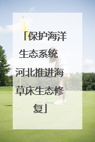 保护海洋生态系统 河北推进海草床生态修复
