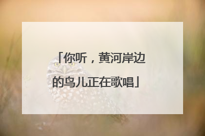 你听，黄河岸边的鸟儿正在歌唱
