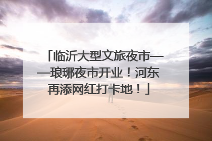 临沂大型文旅夜市——琅琊夜市开业！河东再添网红打卡地！