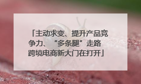 主动求变、提升产品竞争力、“多条腿”走路 跨境电商新大门在打开