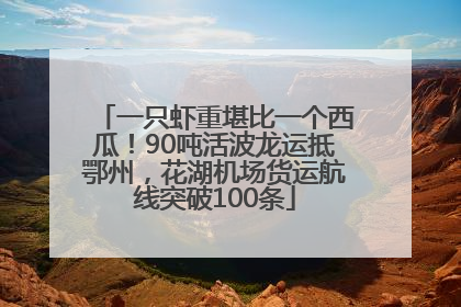 一只虾重堪比一个西瓜！90吨活波龙运抵鄂州，花湖机场货运航线突破100条