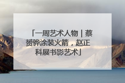 一周艺术人物｜蔡赟骅涂装火箭，赵正科展书影艺术
