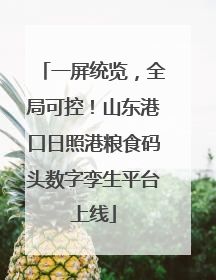 一屏统览，全局可控！山东港口日照港粮食码头数字孪生平台上线