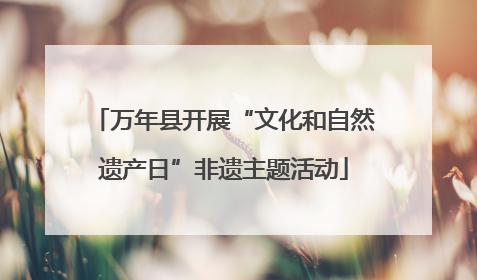 万年县开展“文化和自然遗产日”非遗主题活动
