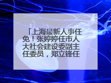 上海最新人事任免！张婷婷任市人大社会建设委副主任委员，郑立锋任市监察委委员