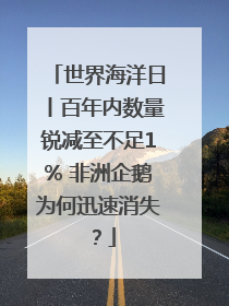 世界海洋日丨百年内数量锐减至不足1% 非洲企鹅为何迅速消失？