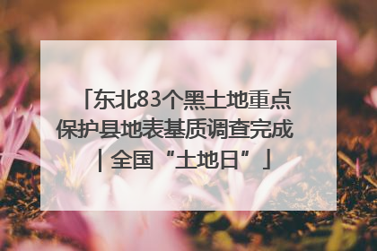 东北83个黑土地重点保护县地表基质调查完成｜全国“土地日”