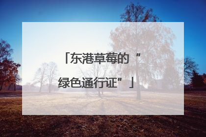 东港草莓的“绿色通行证”