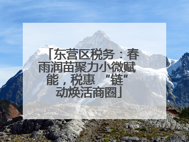 东营区税务：春雨润苗聚力小微赋能，税惠 “链” 动焕活商圈