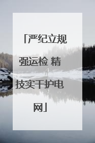 严纪立规强运检 精技实干护电网