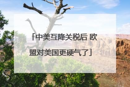 中美互降关税后 欧盟对美国更硬气了