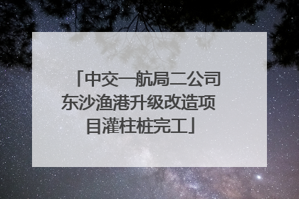 中交一航局二公司东沙渔港升级改造项目灌柱桩完工