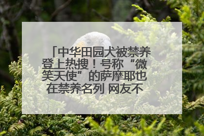 中华田园犬被禁养登上热搜！号称“微笑天使”的萨摩耶也在禁养名列 网友不解西安多部门回应