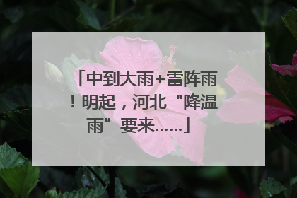 中到大雨+雷阵雨！明起，河北“降温雨”要来……